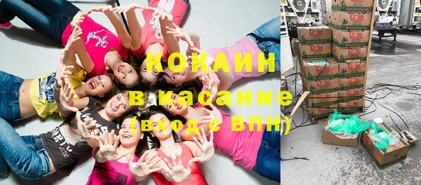 ПСИЛОЦИБИНОВЫЕ ГРИБЫ Алексеевка