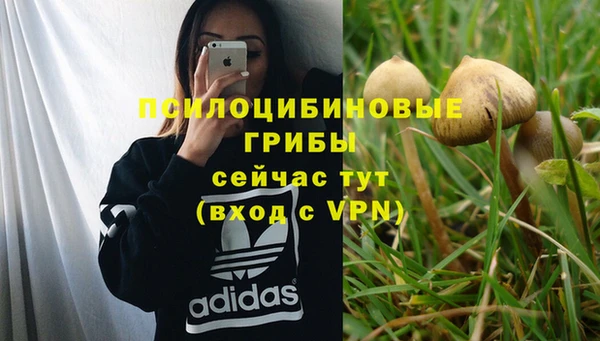 COCAINE Алексин