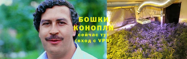 ПСИЛОЦИБИНОВЫЕ ГРИБЫ Алексеевка