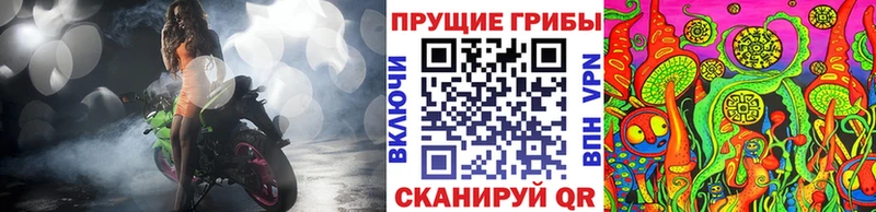 Псилоцибиновые грибы мицелий  где купить наркоту  Томилино 